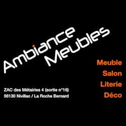 creation site web wordpress magasin ambiance meubles nivillac morbihan